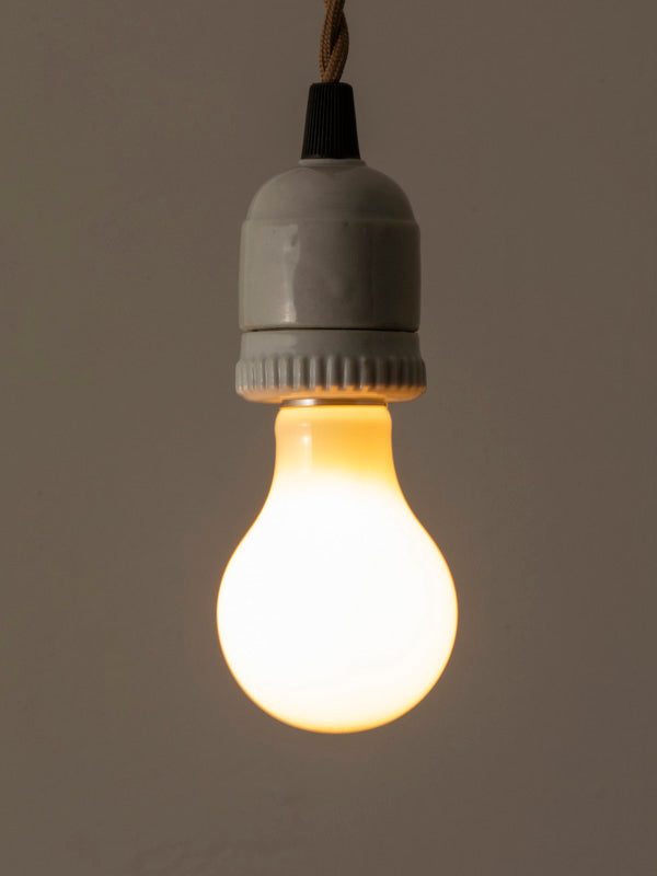 LED電球E26 TYPE6