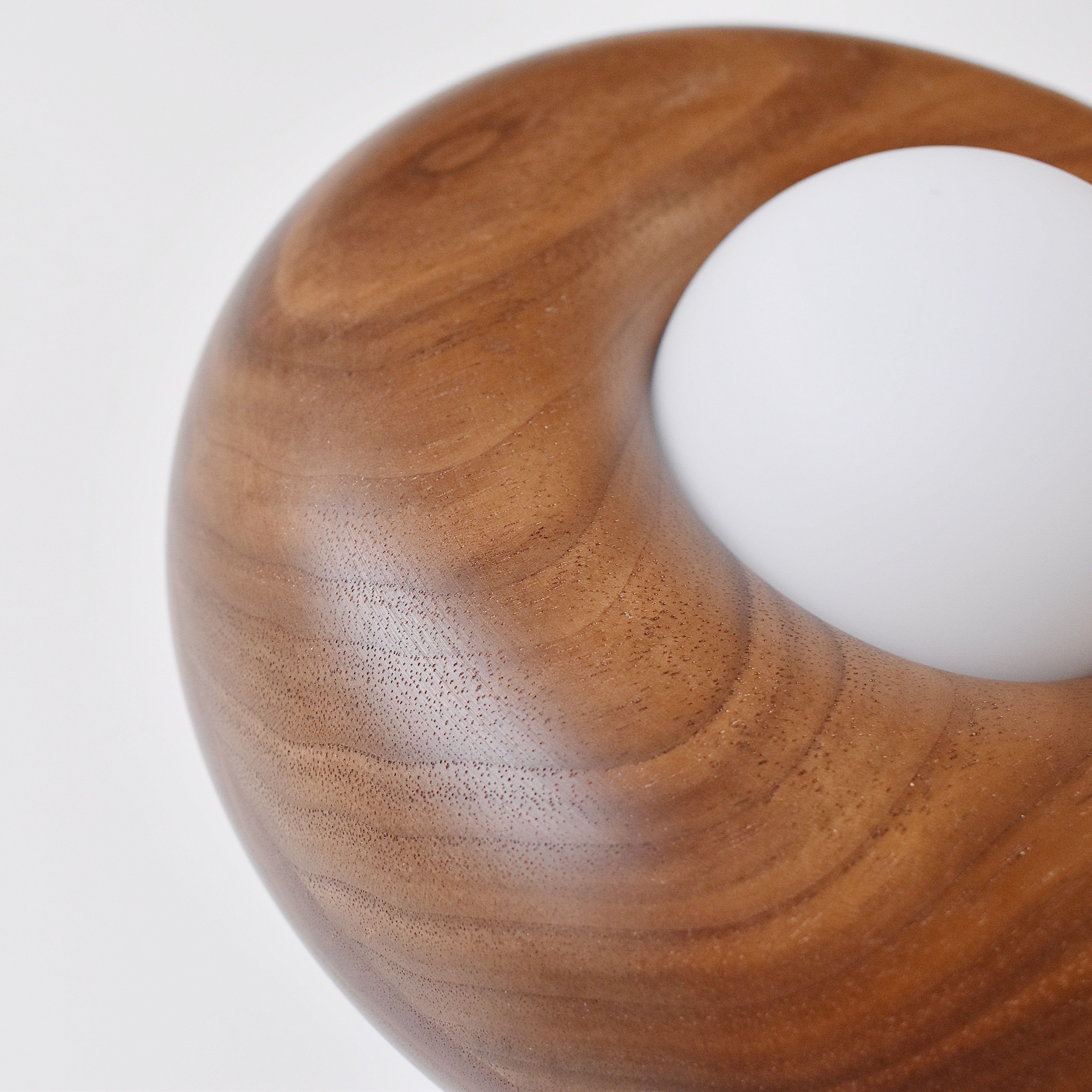 DOUGHNUTS LIGHT［受注生産品］