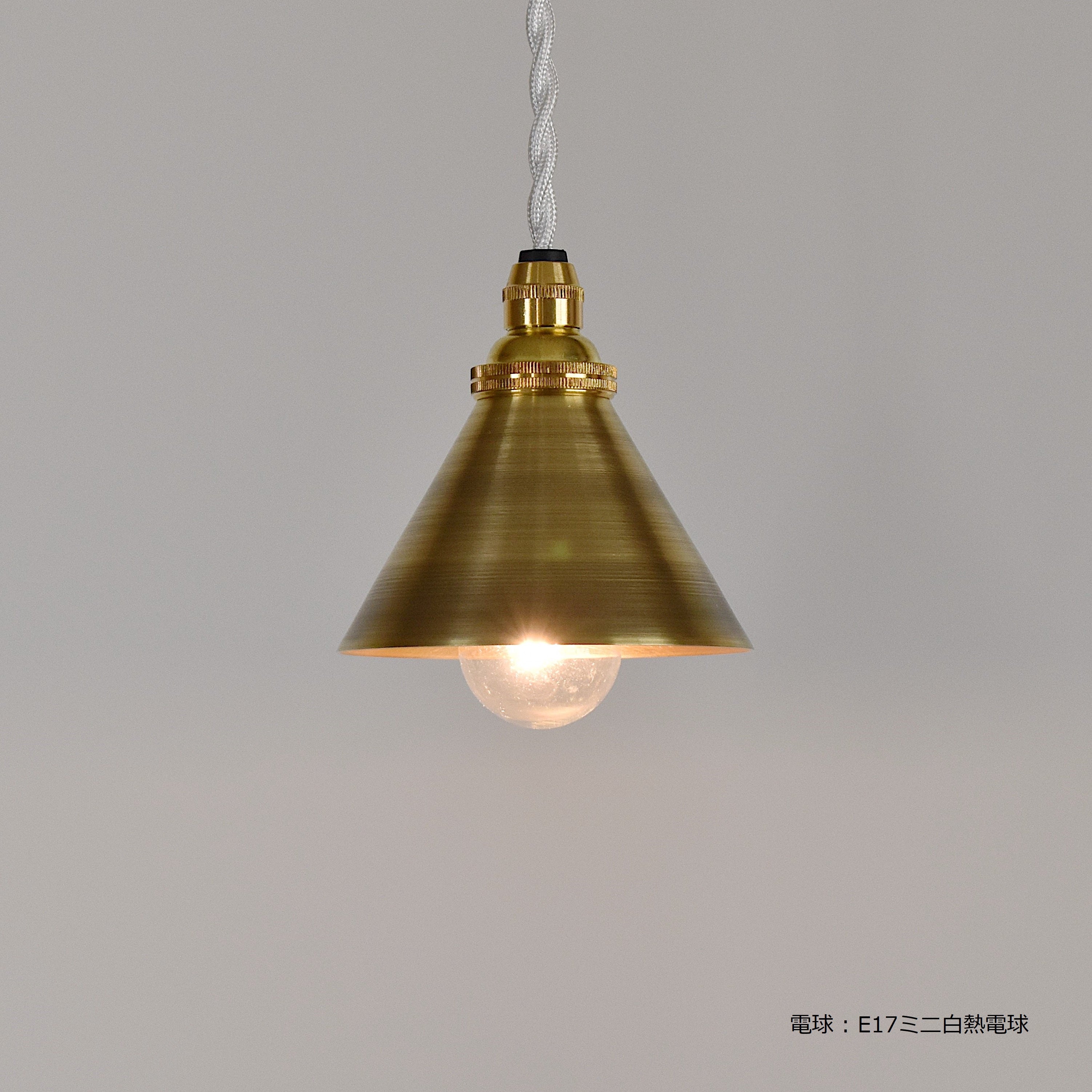 BRANCH BIT PENDANT LAMP