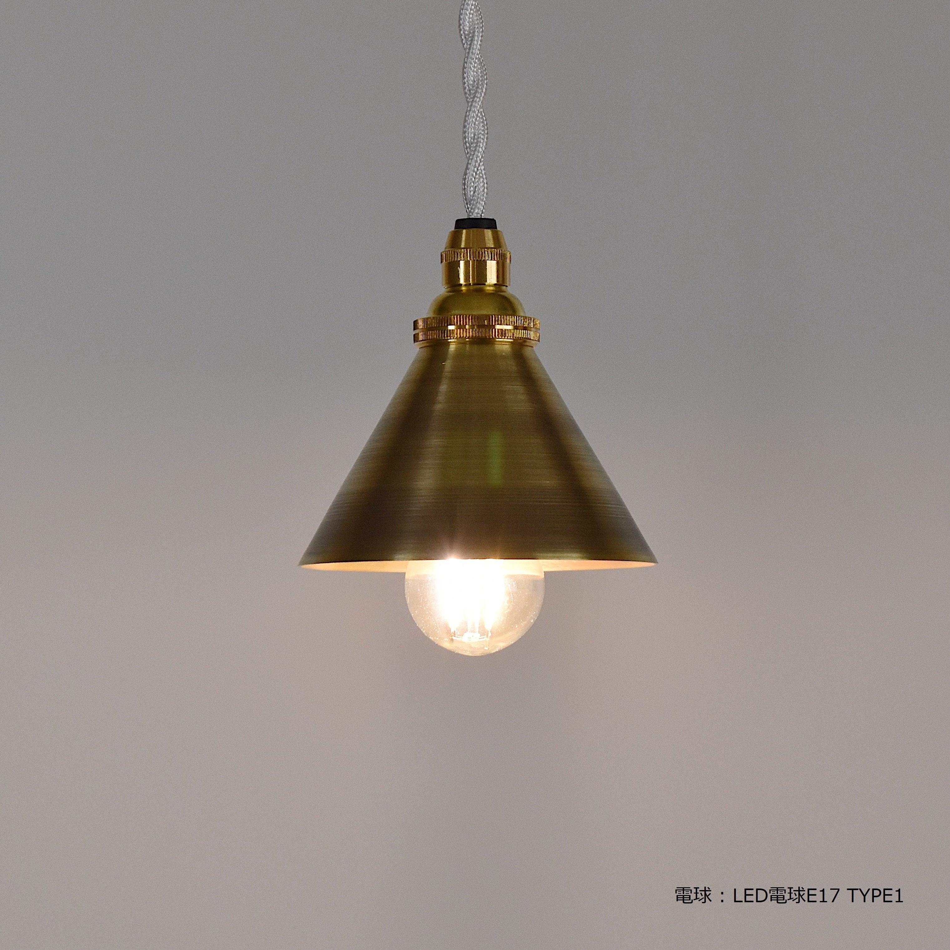 BRANCH BIT PENDANT LAMP