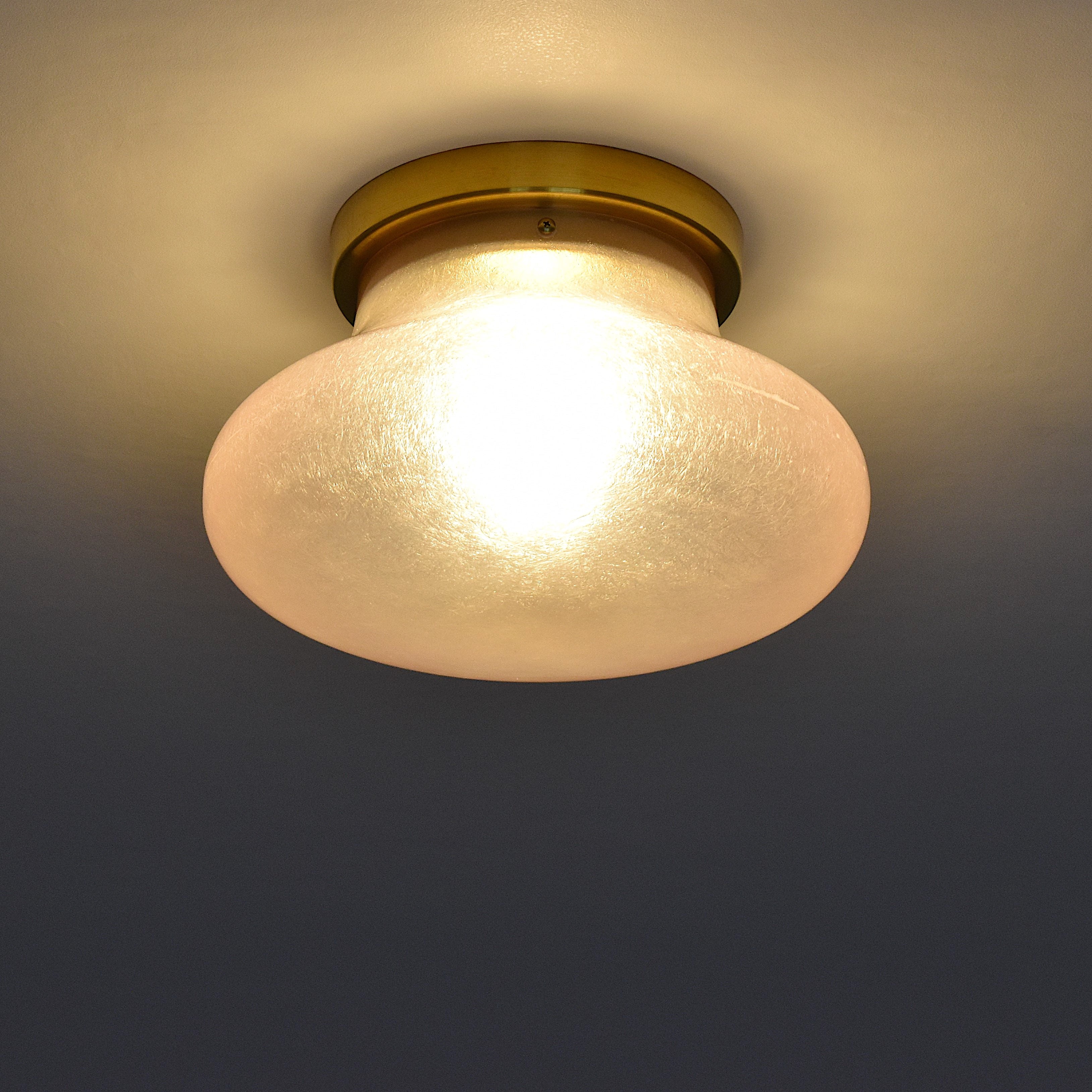 FRP CEILING LIGHT