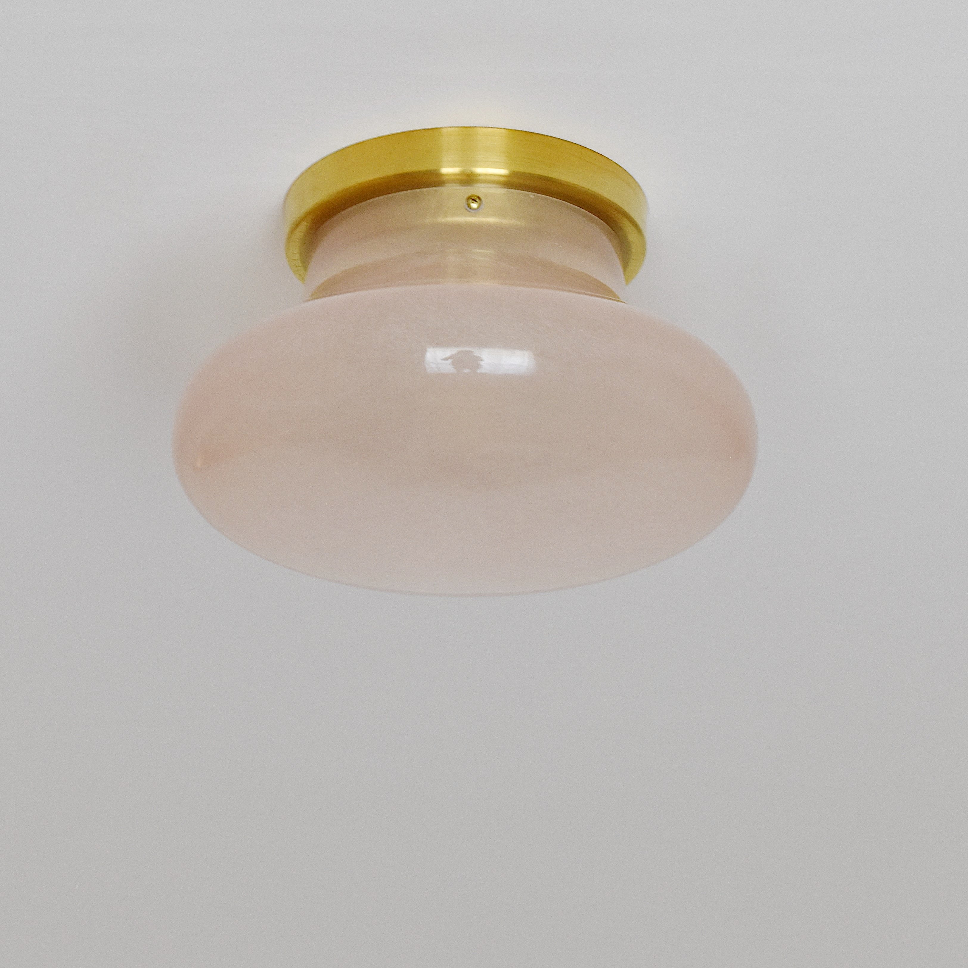 FRP CEILING LIGHT